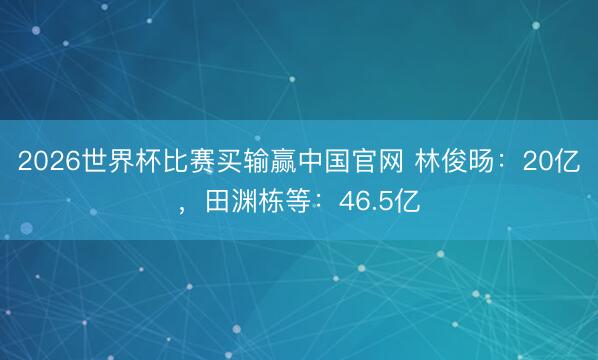 2026世界杯比赛买输赢中国官网 林俊旸：20亿，田渊栋等：46.5亿