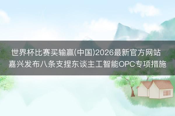 世界杯比赛买输赢(中国)2026最新官方网站 嘉兴发布八条支捏东谈主工智能OPC专项措施