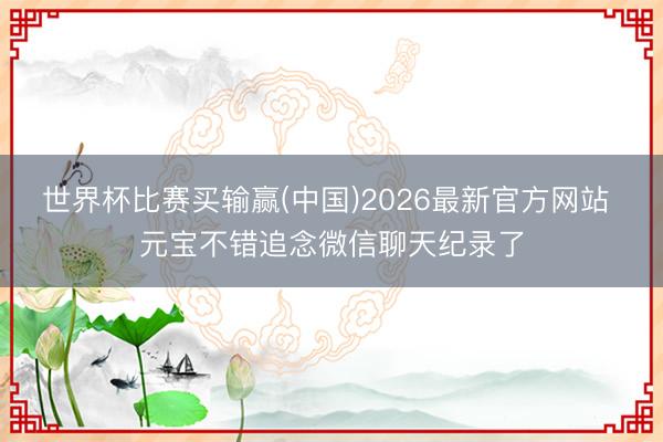 世界杯比赛买输赢(中国)2026最新官方网站 元宝不错追念微信聊天纪录了