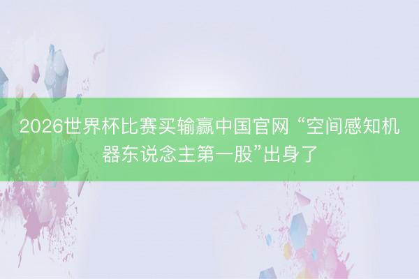 2026世界杯比赛买输赢中国官网 “空间感知机器东说念主第一股”出身了