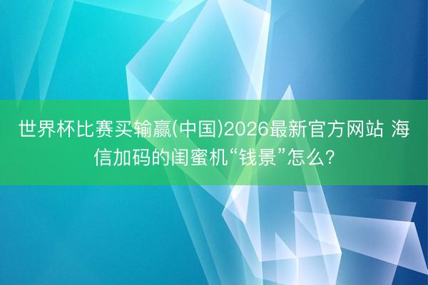 世界杯比赛买输赢(中国)2026最新官方网站 海信加码的闺蜜机“钱景”怎么？