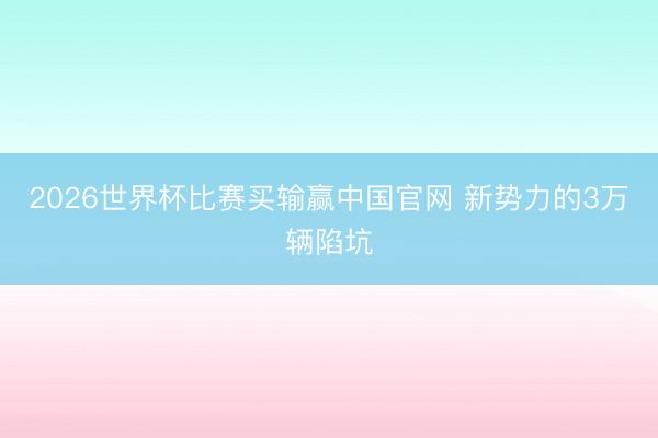 2026世界杯比赛买输赢中国官网 新势力的3万辆陷坑