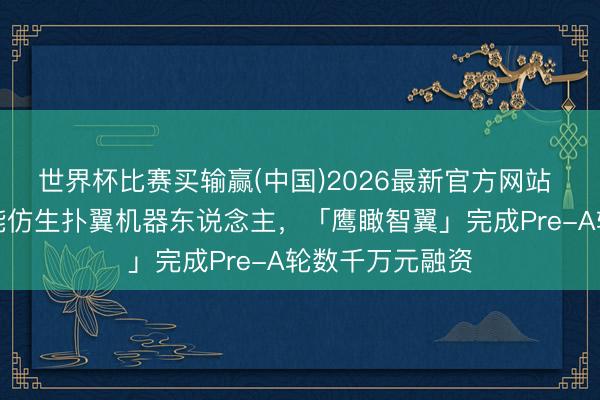 世界杯比赛买输赢(中国)2026最新官方网站 专注于具身智能仿生扑翼机器东说念主，「鹰瞰智翼」完成Pre-A轮数千万元融资