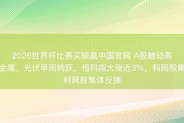 2026世界杯比赛买输赢中国官网 A股触动高潮,贵金属、光伏早周转跃,恒科指大涨近3%,科网股集体反弹