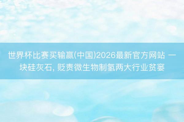 世界杯比赛买输赢(中国)2026最新官方网站 一块硅灰石， 贬责微生物制氢两大行业贫窭