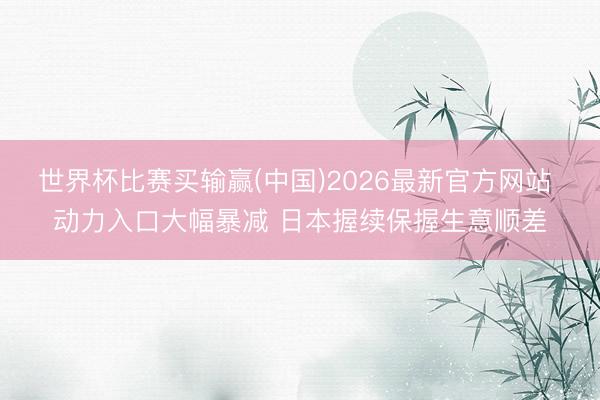 世界杯比赛买输赢(中国)2026最新官方网站 动力入口大幅暴减 日本握续保握生意顺差