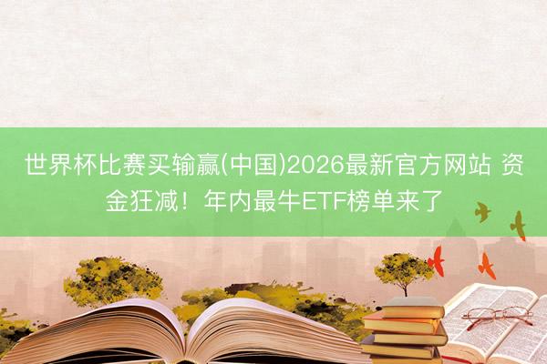 世界杯比赛买输赢(中国)2026最新官方网站 资金狂减！年内最牛ETF榜单来了
