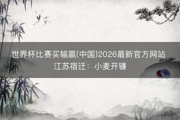 世界杯比赛买输赢(中国)2026最新官方网站 江苏宿迁：小麦开镰