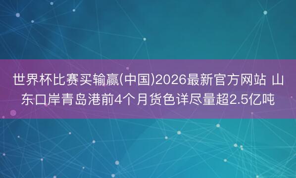 世界杯比赛买输赢(中国)2026最新官方网站 山东口岸青岛港前4个月货色详尽量超2.5亿吨