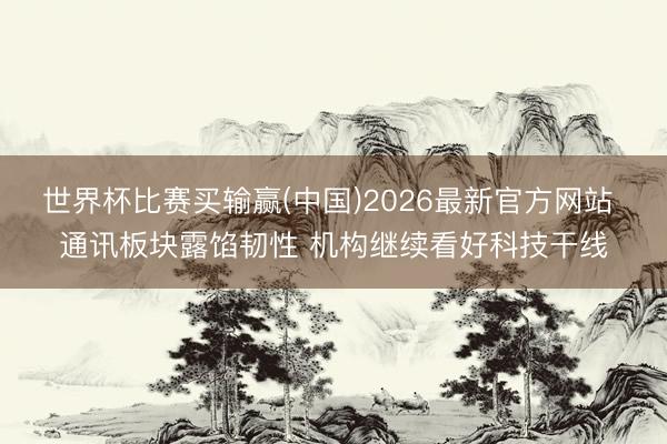 世界杯比赛买输赢(中国)2026最新官方网站 通讯板块露馅韧性 机构继续看好科技干线